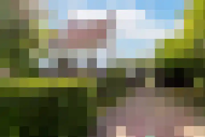 Van Duurenlaan 3 Castricum thumbnail 49