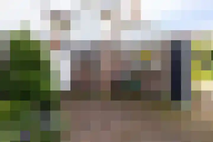 Van Duurenlaan 3 Castricum thumbnail 50