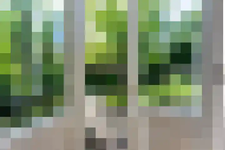 Van Duurenlaan 3 Castricum thumbnail 6