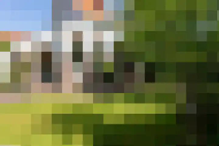 Van Duurenlaan 3 Castricum thumbnail 7