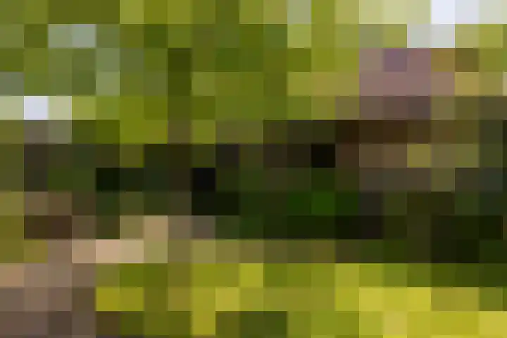 Van Duurenlaan 3 Castricum thumbnail 8