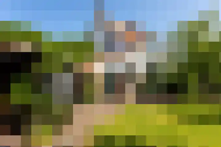 Van Duurenlaan 3 Castricum thumbnail 80