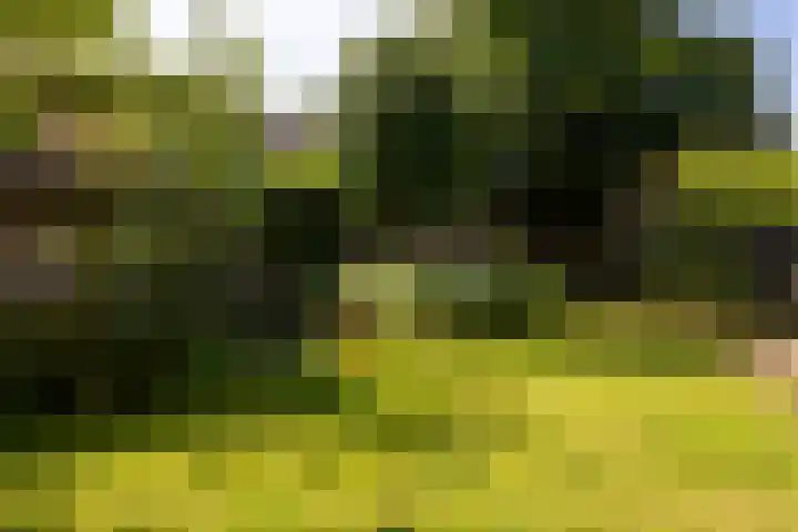 Van Duurenlaan 3 Castricum thumbnail 9