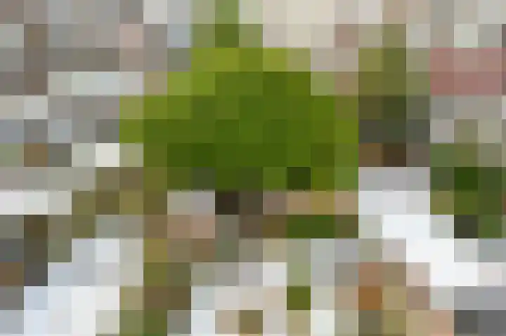 van Duvenvoordelaan 115 Voorburg thumbnail 22