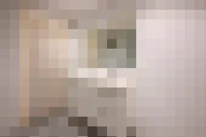 van Duvenvoordelaan 115 Voorburg thumbnail 26