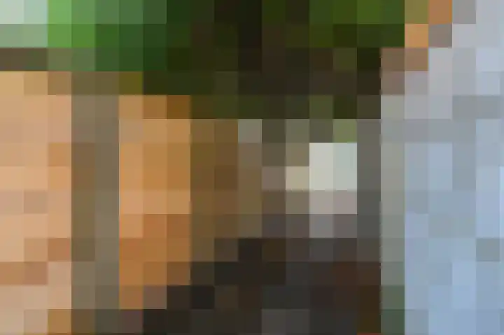 van Duvenvoordelaan 115 Voorburg thumbnail 33