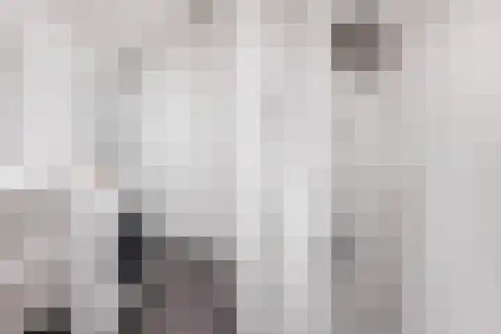 van Duvenvoordelaan 169 Voorburg thumbnail 22