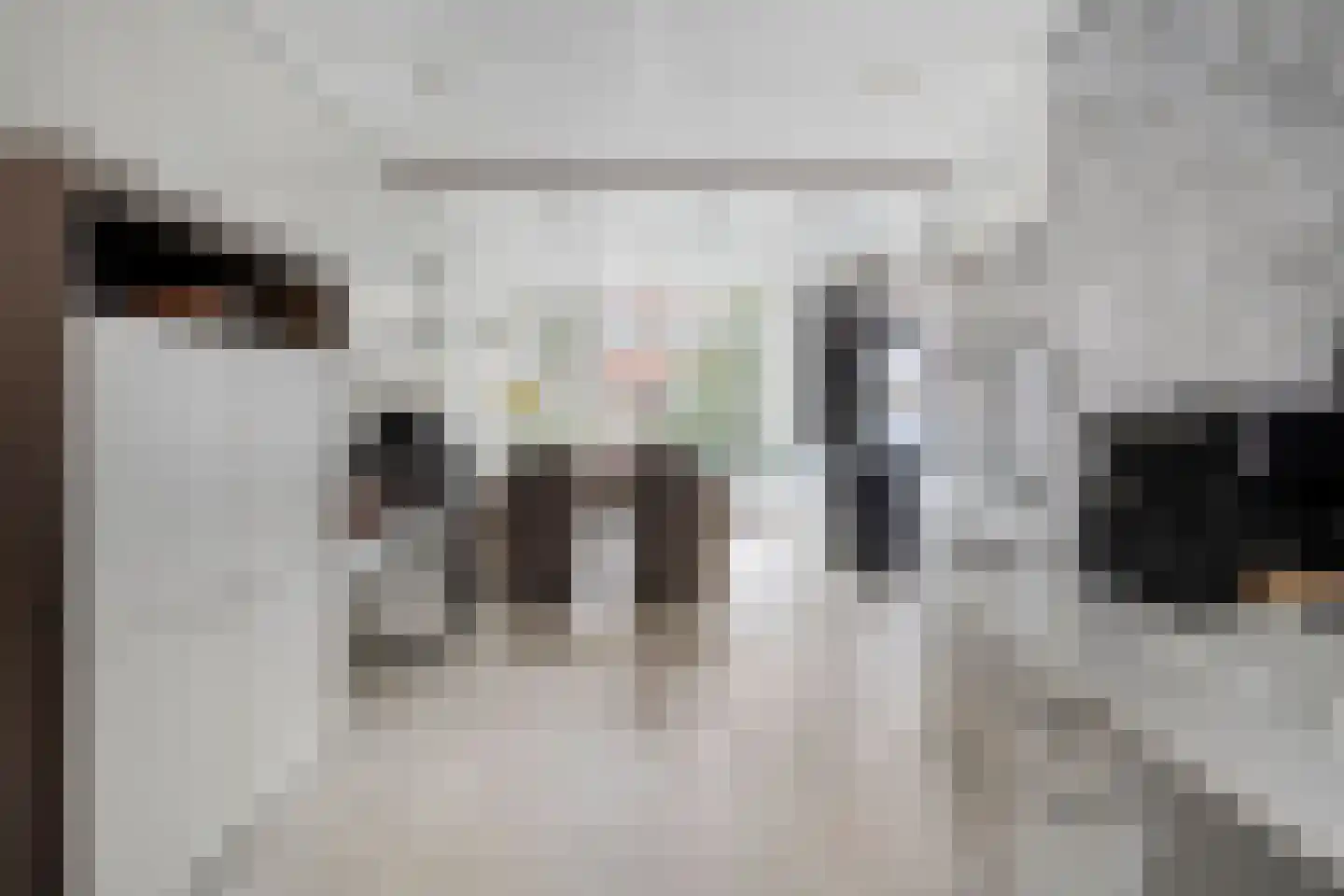van Duvenvoordelaan 18 Voorburg thumbnail 21