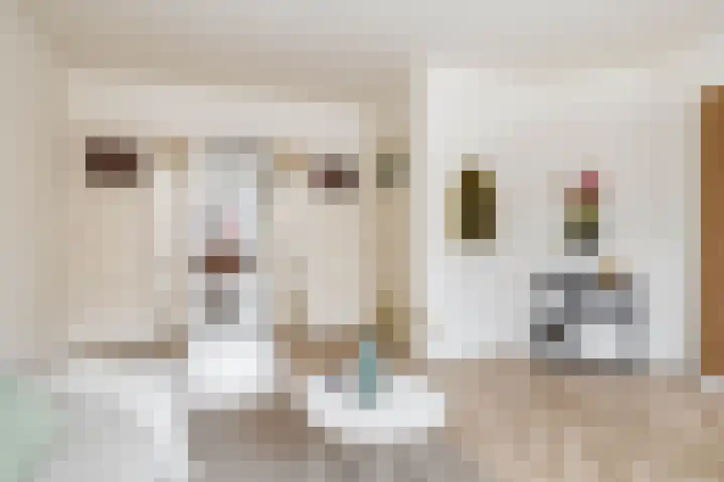 van Duvenvoordelaan 30 Voorburg thumbnail 19