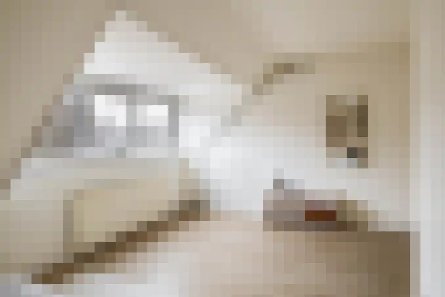 van Duvenvoordelaan 30 Voorburg thumbnail 32