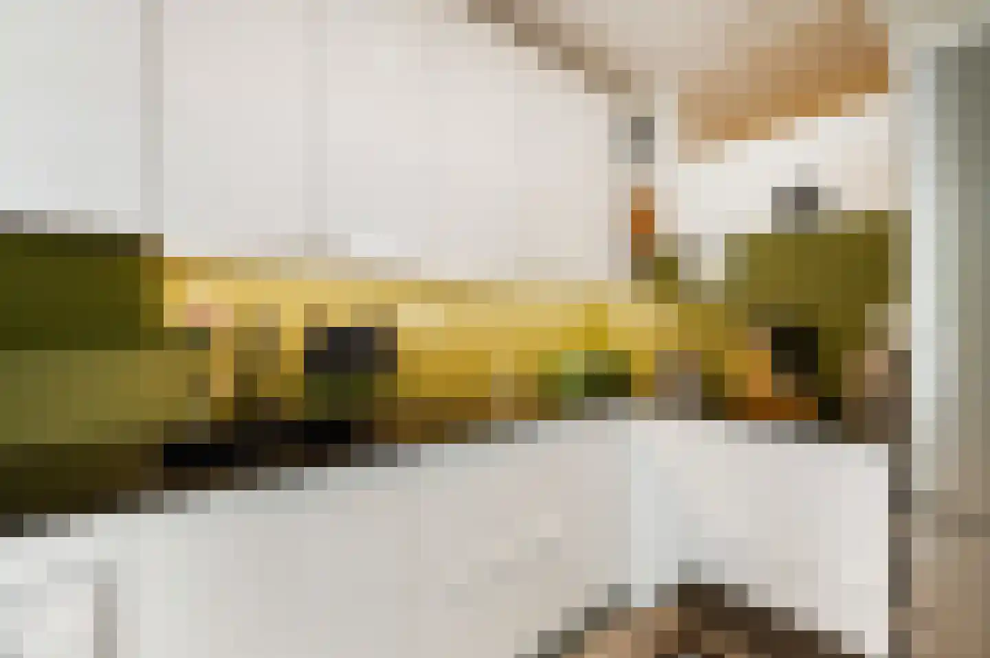 van Duvenvoordelaan 99 Voorburg thumbnail 18