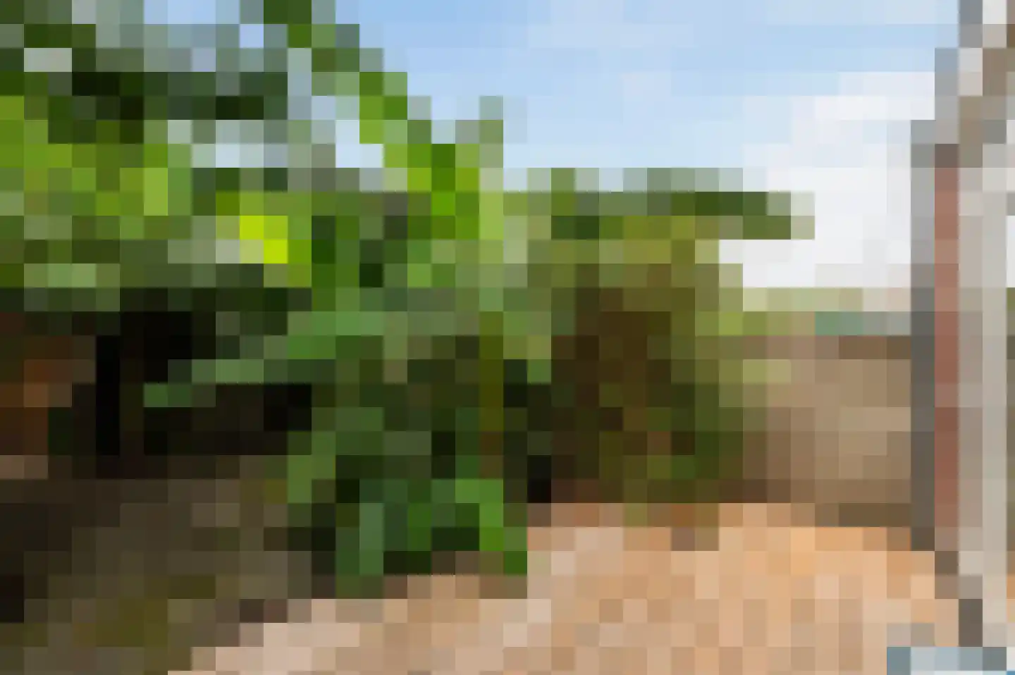 van Duvenvoordelaan 99 Voorburg thumbnail 22