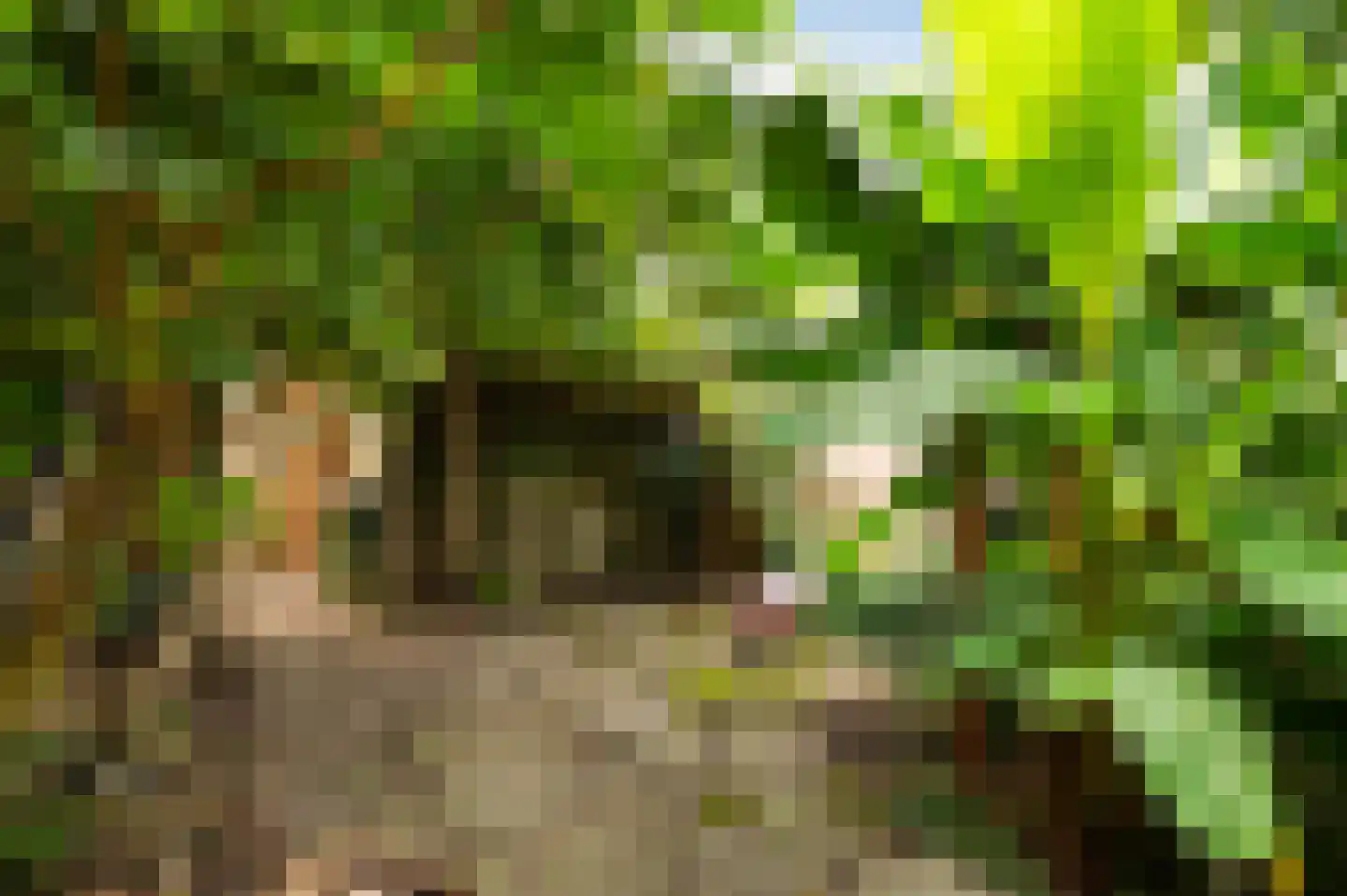 van Duvenvoordelaan 99 Voorburg thumbnail 24