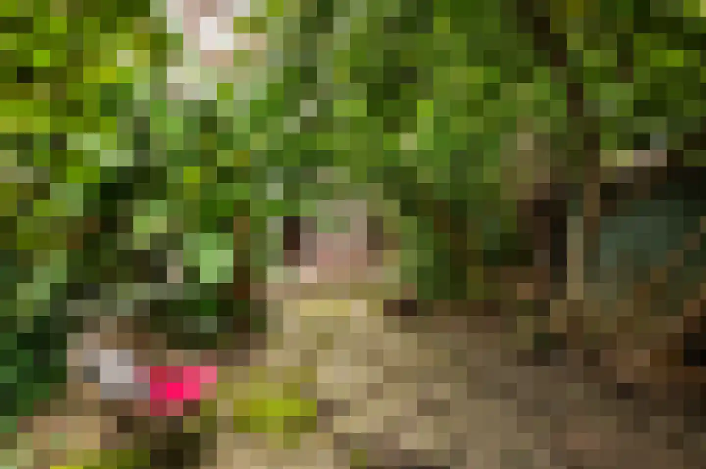van Duvenvoordelaan 99 Voorburg thumbnail 25