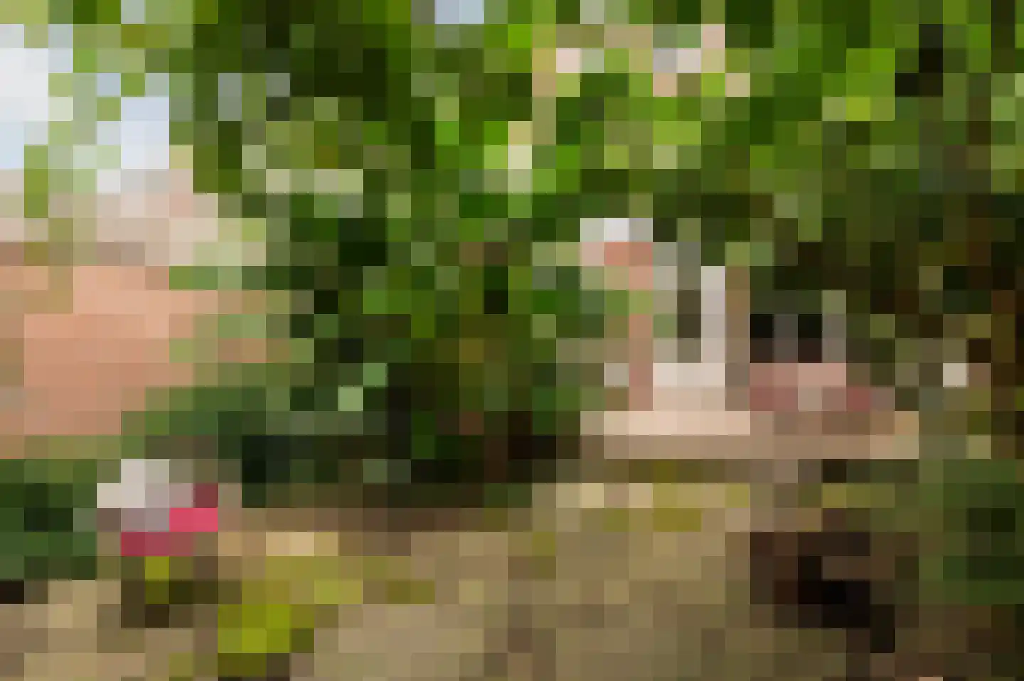 van Duvenvoordelaan 99 Voorburg thumbnail 26