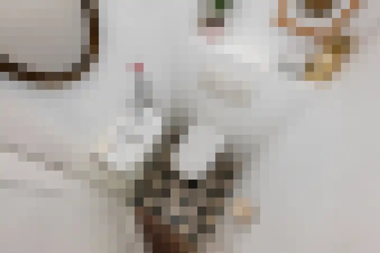 van Duvenvoordelaan 99 Voorburg thumbnail 33