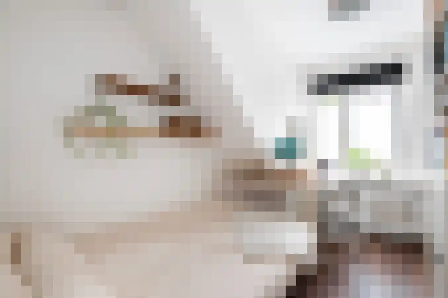 van Duvenvoordelaan 99 Voorburg thumbnail 34