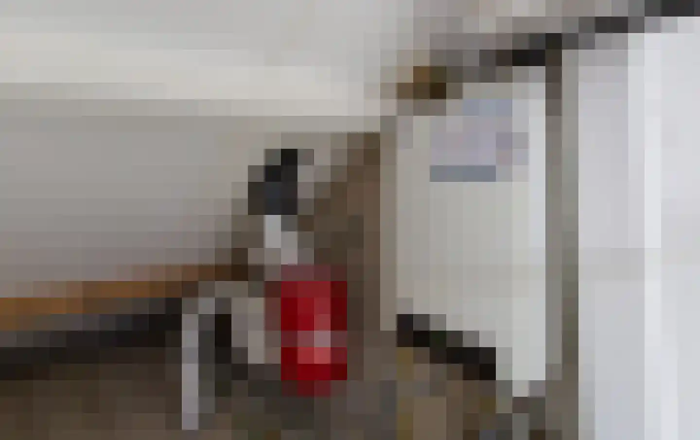 van Duvenvoordestraat 15 Waspik thumbnail 17