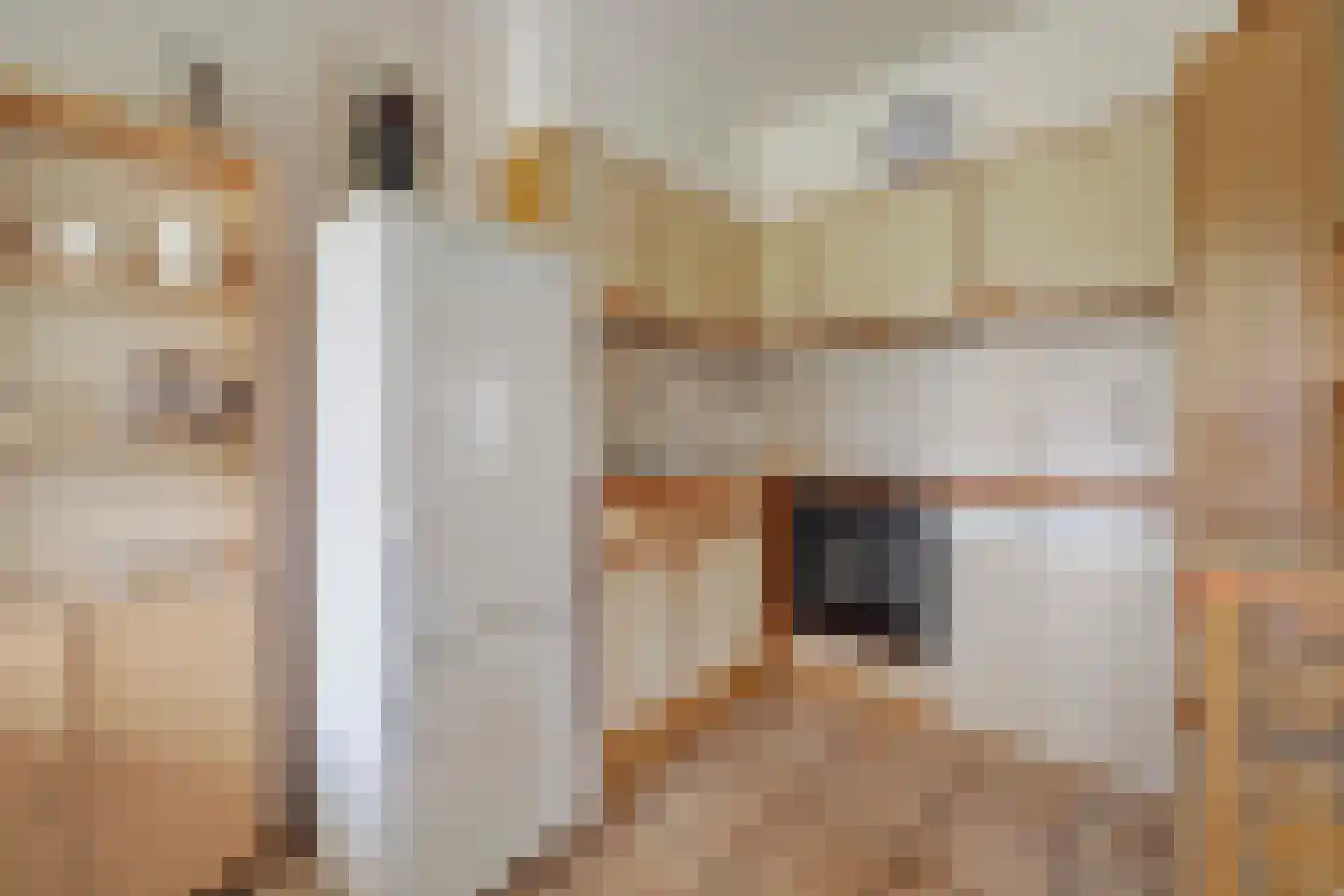 van Duvenvoordestraat 19 Waspik thumbnail 11