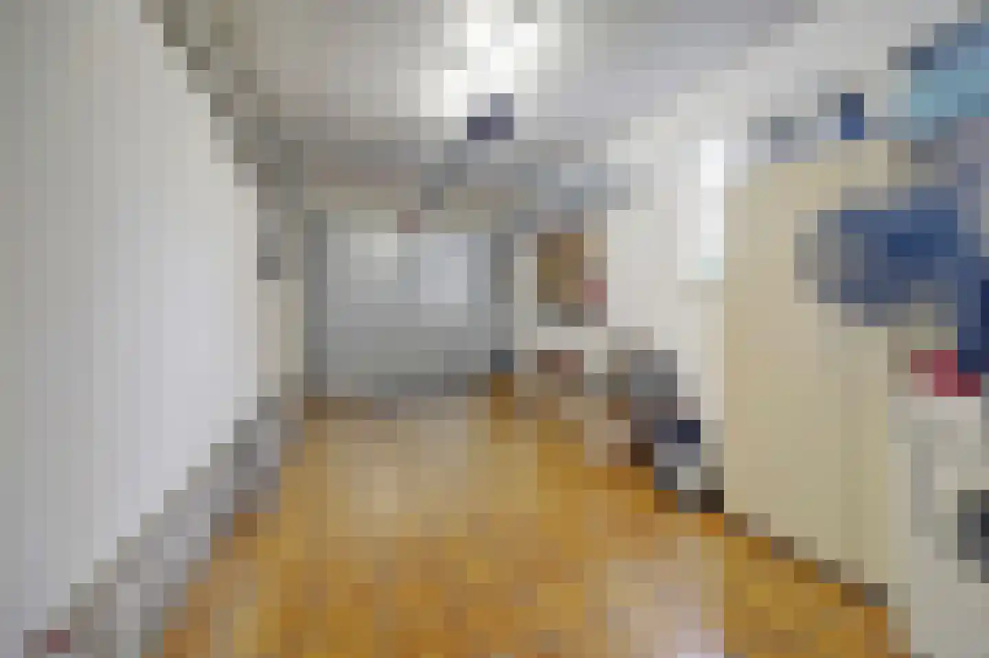 van Duvenvoordestraat 19 Waspik thumbnail 22