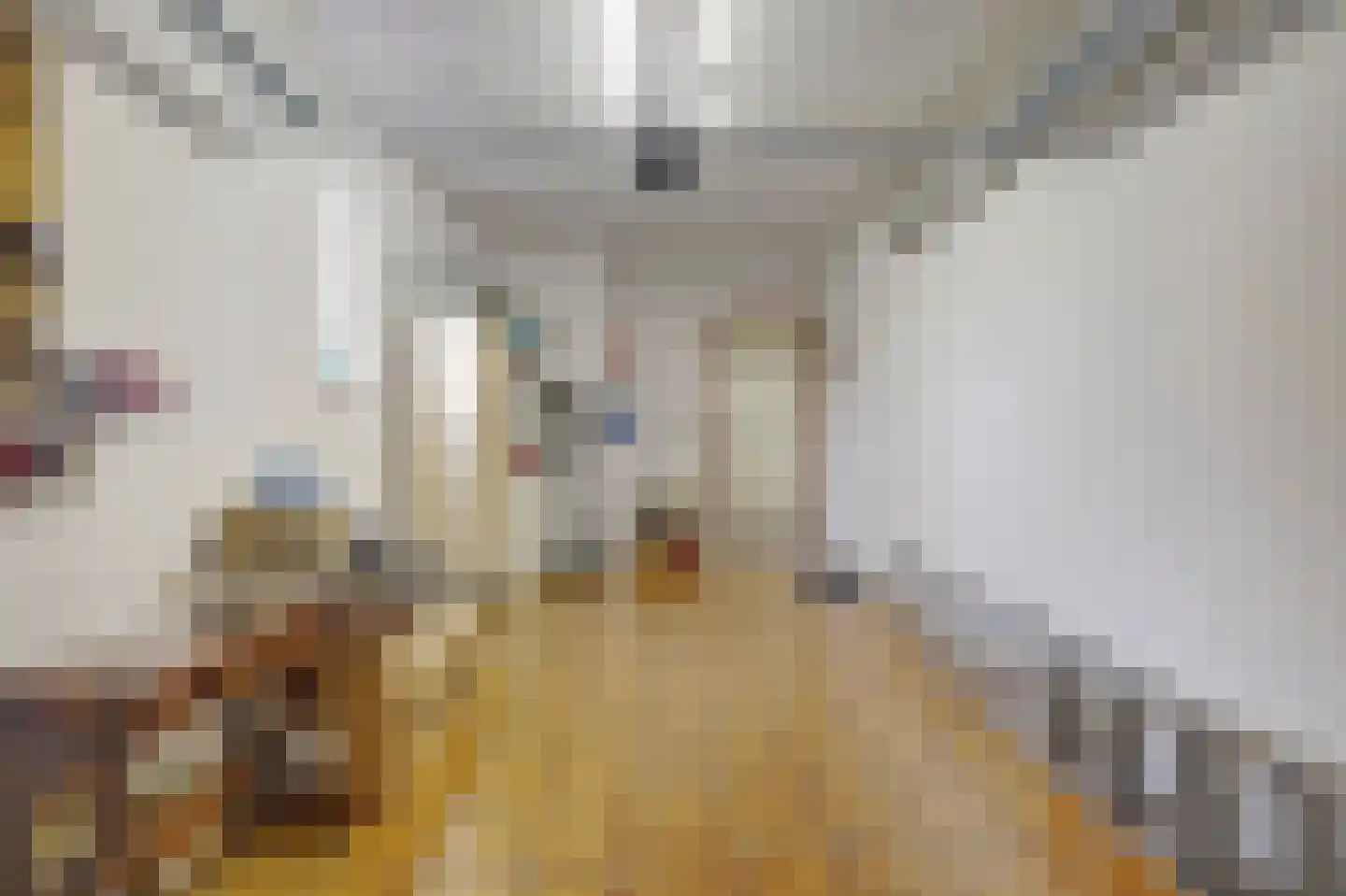 van Duvenvoordestraat 19 Waspik thumbnail 4