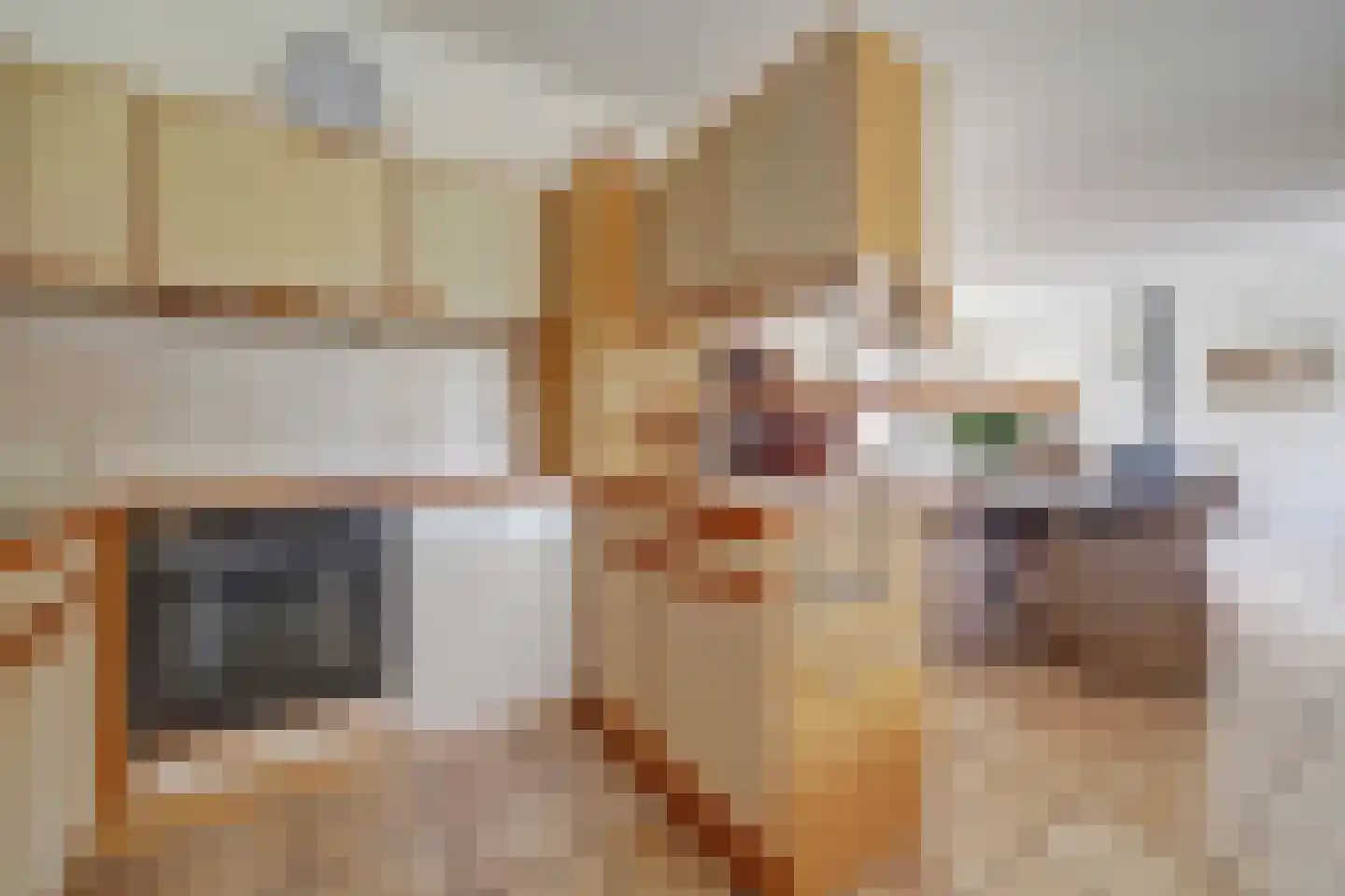 van Duvenvoordestraat 19 Waspik thumbnail 6