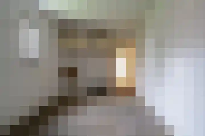 van Duvenvoordestraat 23 Waspik thumbnail 22