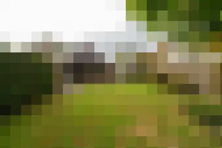van Duvenvoordestraat 23 Waspik thumbnail 4