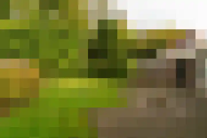 van Duvenvoordestraat 23 Waspik thumbnail 5
