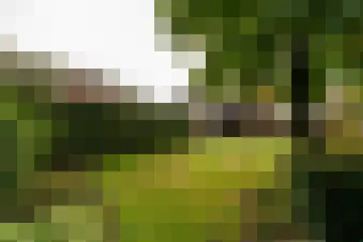 van Duvenvoordestraat 23 Waspik thumbnail 6