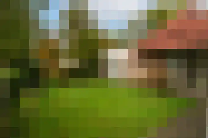 van Duvenvoordestraat 23 Waspik thumbnail 9