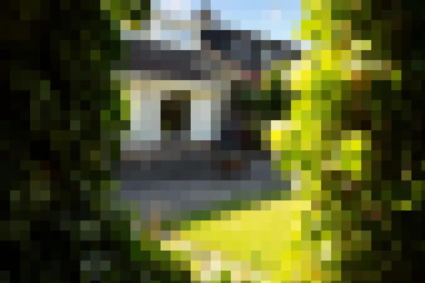 van Duvenvoordestraat 26 Waspik thumbnail 31