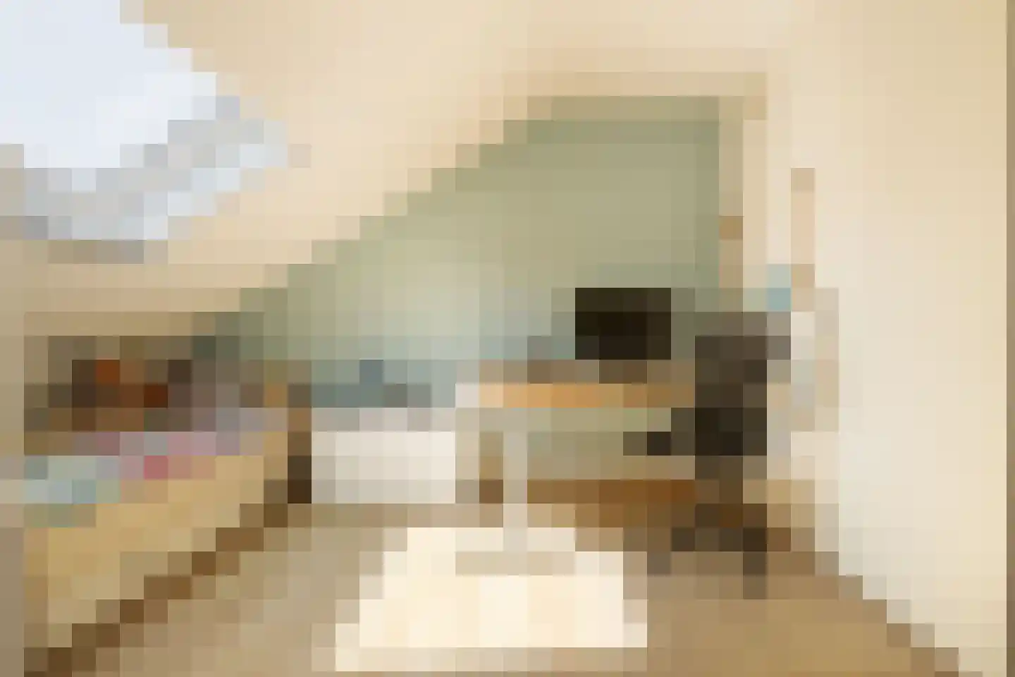 van Duvenvoordestraat 26 Waspik thumbnail 35