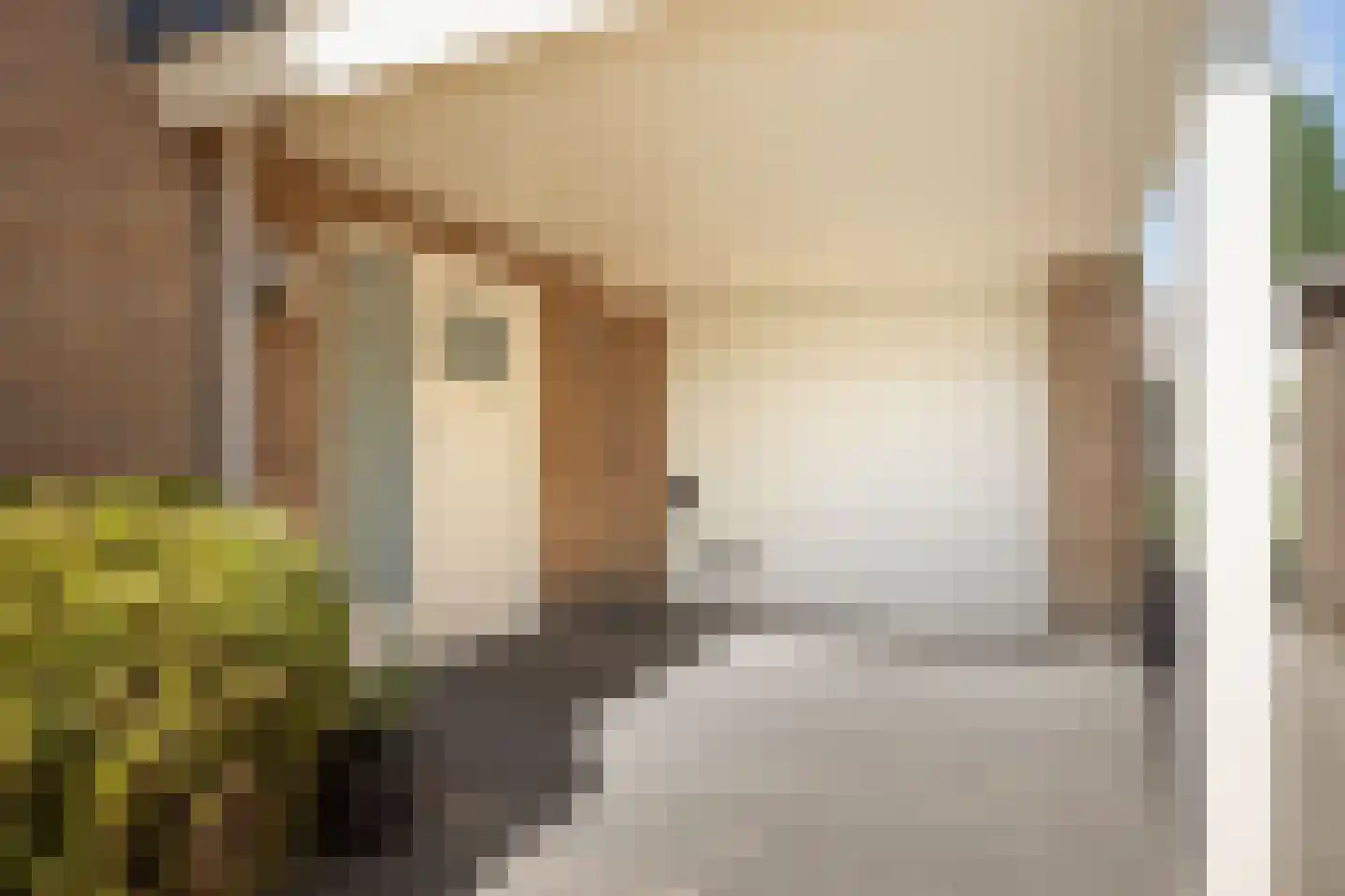 van Duvenvoordestraat 26 Waspik thumbnail 9