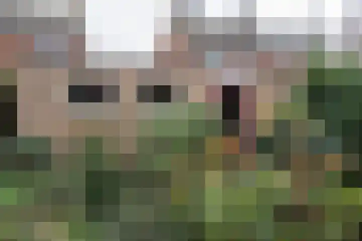 van Duvenvoordestraat 8 Waspik thumbnail 4