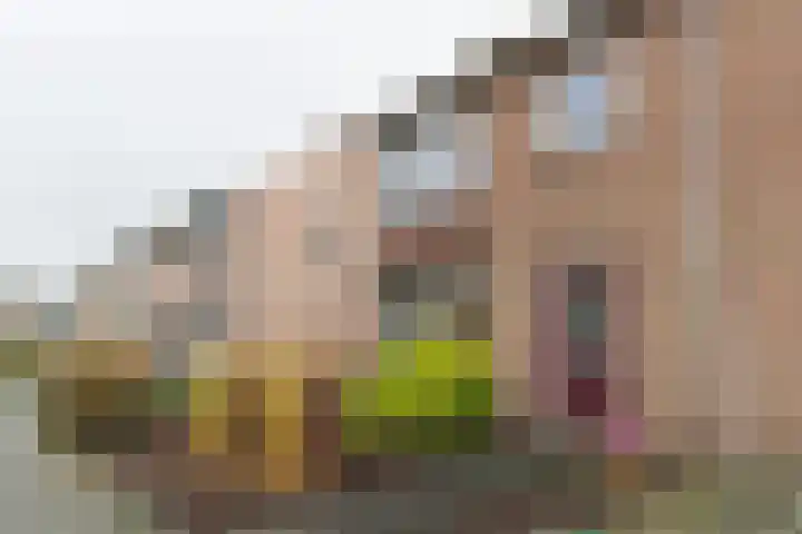 van Duvenvoordestraat 8 Waspik thumbnail 5
