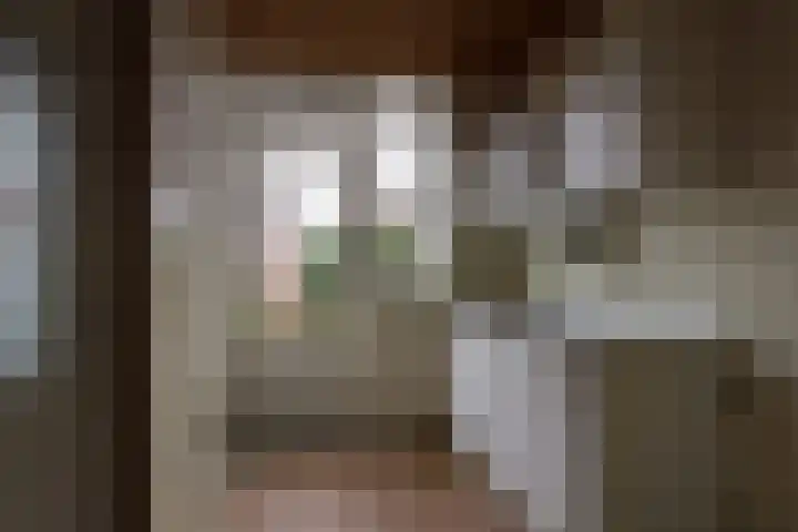 van Duvenvoordestraat 8 Waspik thumbnail 8