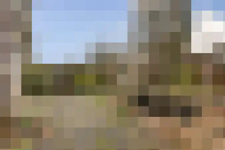 Van Duyvenvoordelaan 12 Hendrik-Ido-Ambacht thumbnail 11