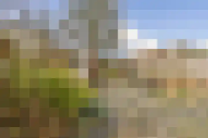 Van Duyvenvoordelaan 12 Hendrik-Ido-Ambacht thumbnail 12