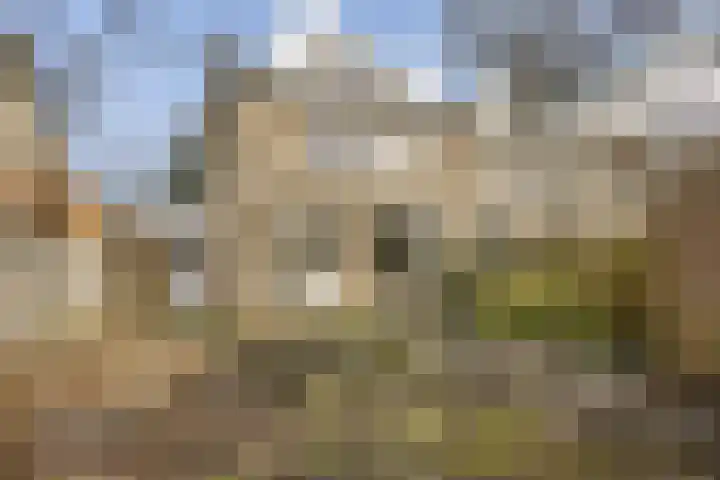 Van Duyvenvoordelaan 12 Hendrik-Ido-Ambacht thumbnail 13