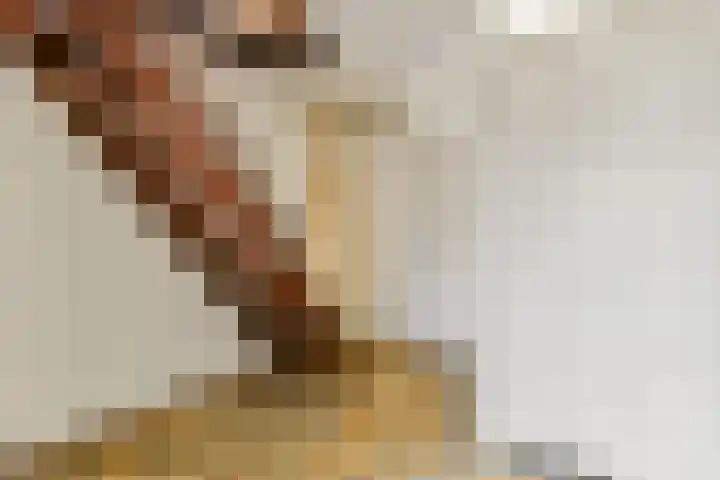 Van Duyvenvoordelaan 12 Hendrik-Ido-Ambacht thumbnail 15