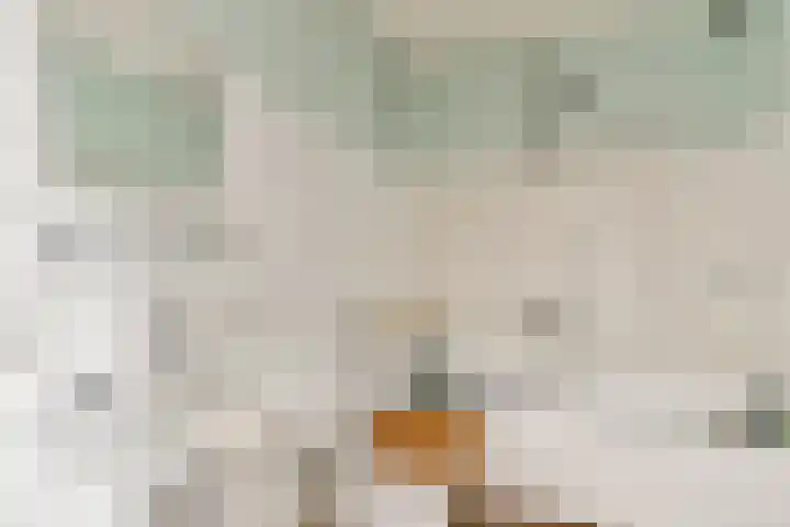 Van Duyvenvoordelaan 12 Hendrik-Ido-Ambacht thumbnail 18