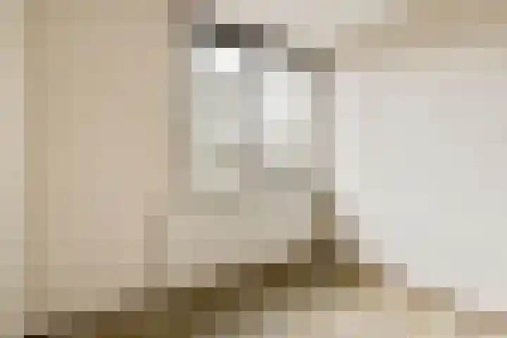 Van Duyvenvoordelaan 12 Hendrik-Ido-Ambacht thumbnail 21