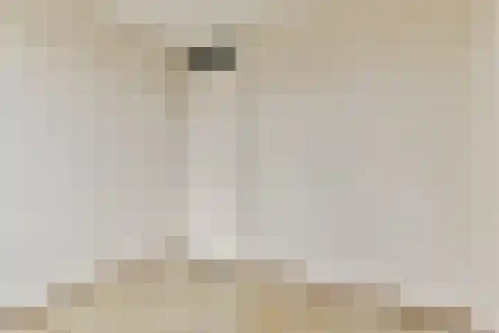 Van Duyvenvoordelaan 12 Hendrik-Ido-Ambacht thumbnail 22