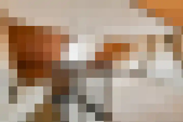 Van Duyvenvoordelaan 12 Hendrik-Ido-Ambacht thumbnail 23