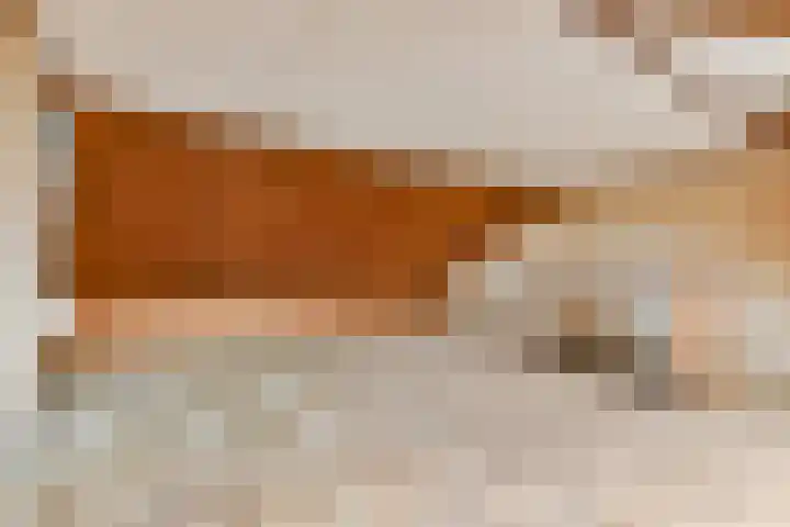 Van Duyvenvoordelaan 12 Hendrik-Ido-Ambacht thumbnail 24