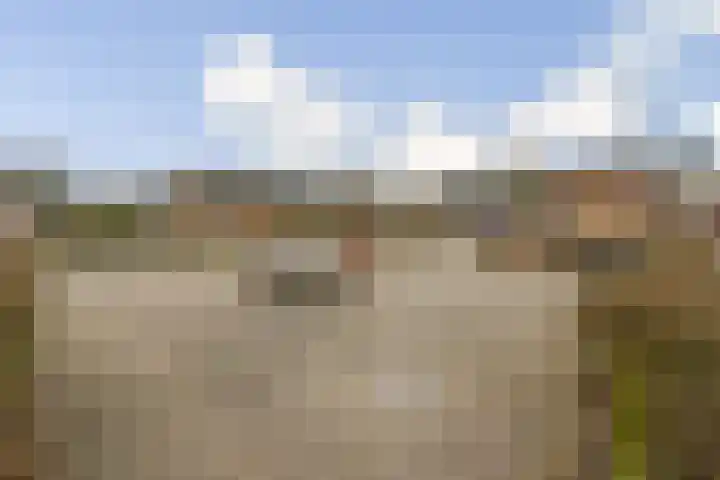 Van Duyvenvoordelaan 12 Hendrik-Ido-Ambacht thumbnail 27