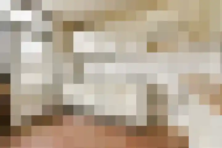 Van Duyvenvoordelaan 12 Hendrik-Ido-Ambacht thumbnail 9