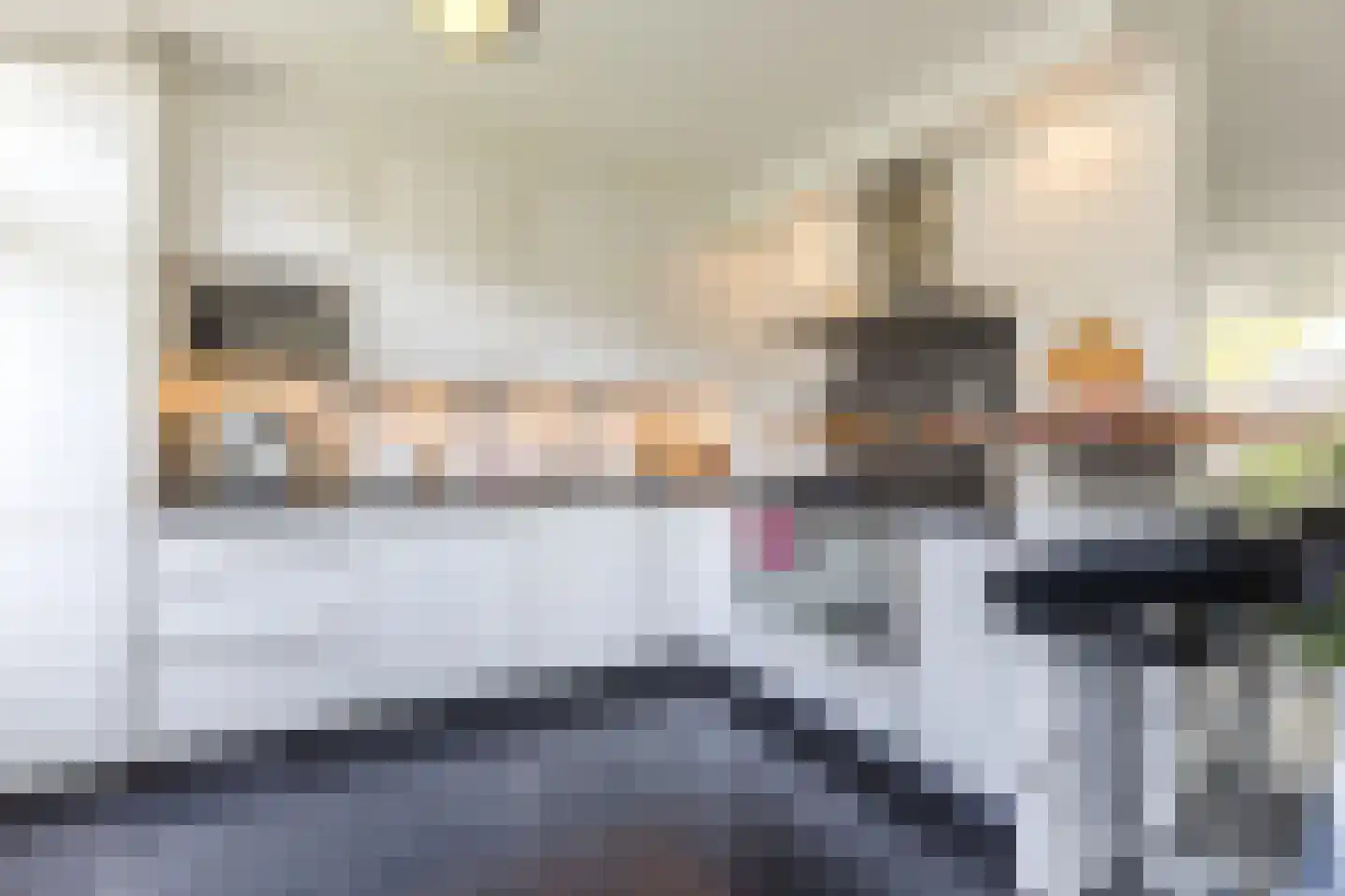 Van Duyvenvoordelaan 16 Hendrik-Ido-Ambacht thumbnail 13