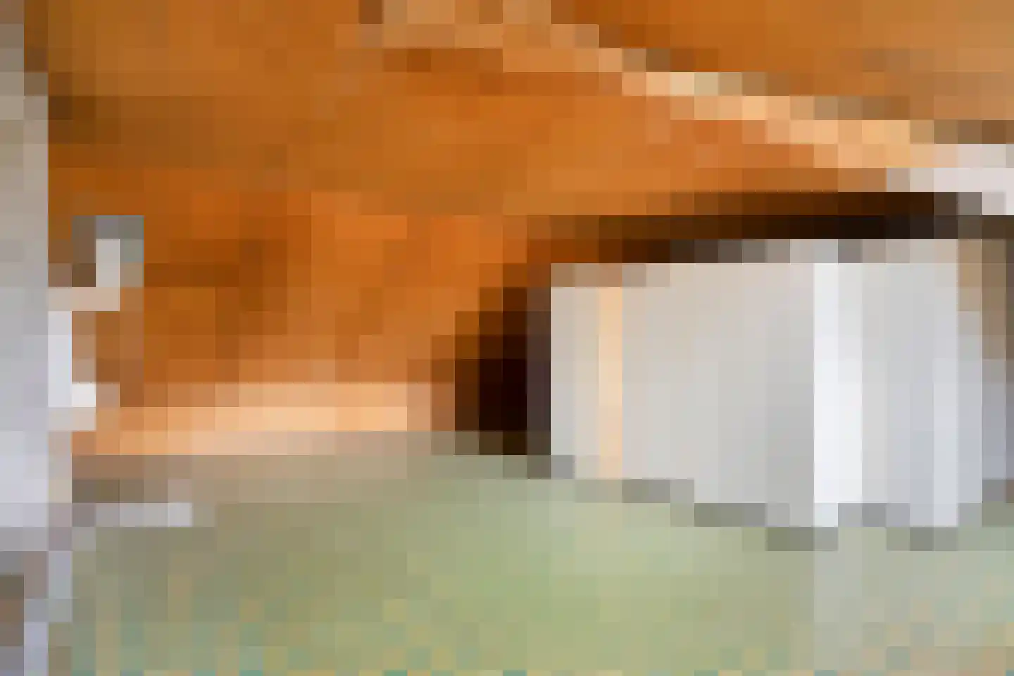 Van Duyvenvoordelaan 18 Hendrik-Ido-Ambacht thumbnail 33
